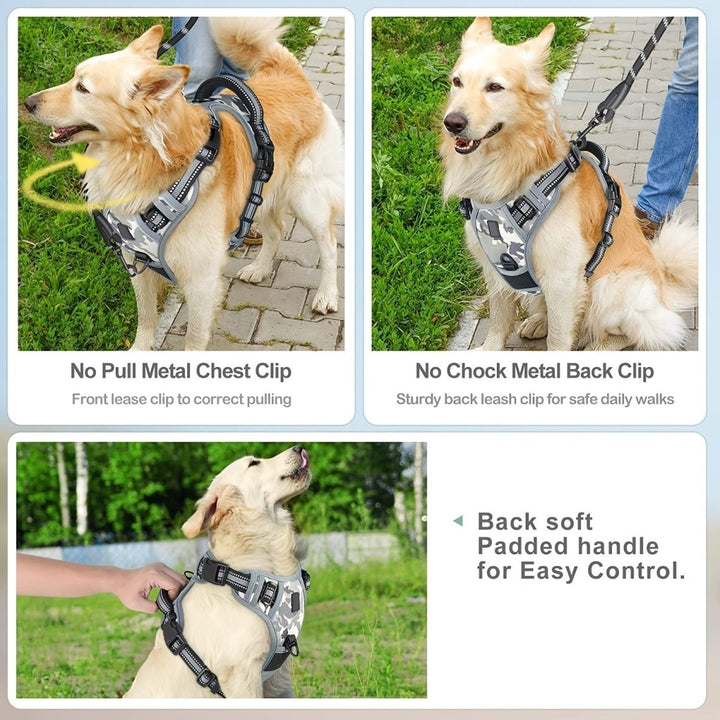 Azura | Reflective, breathable dog harness for small and large dogs