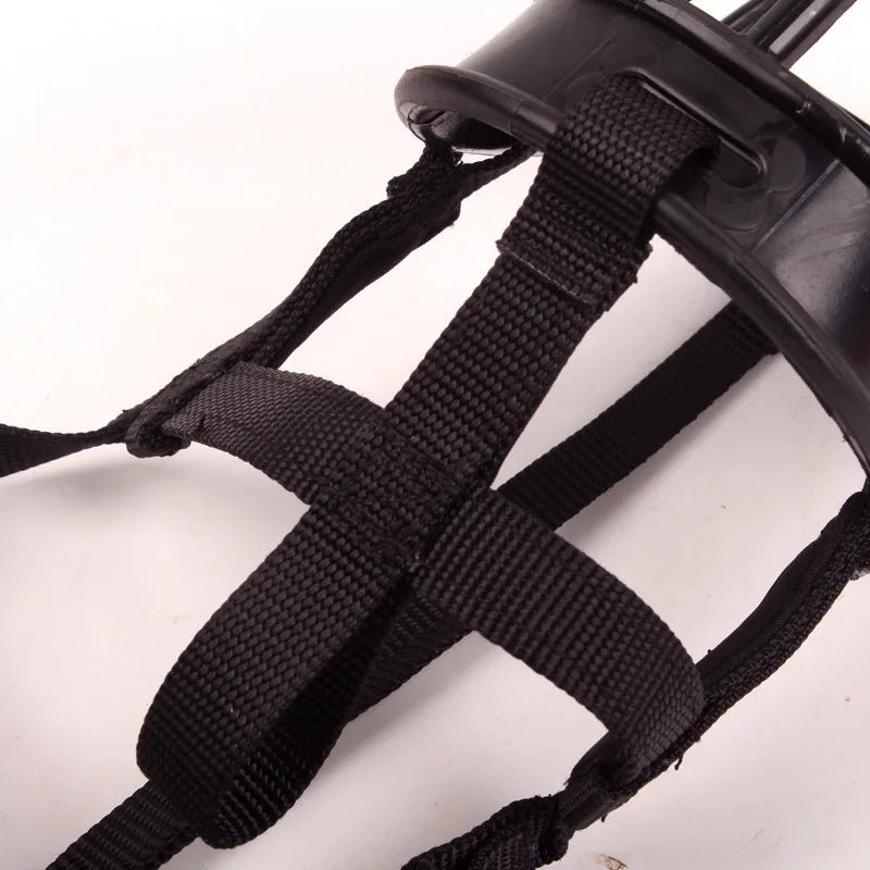 Azura | Breathable Silicone Muzzle for Dogs of All Sizes