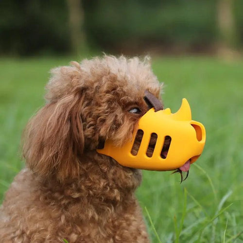 Azura | Adjustable & Breathable Muzzle for Daily Comfort