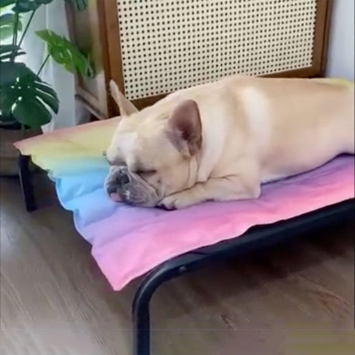 IcePup Frenchie Summer Cooling Mat with Advanced Ice Tech | Azura