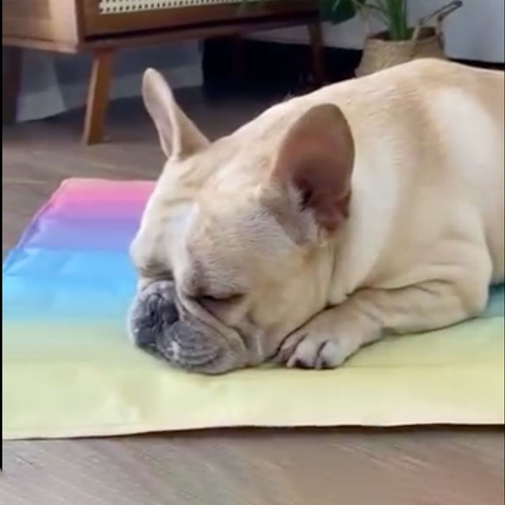 IcePup Frenchie Summer Cooling Mat with Advanced Ice Tech | Azura