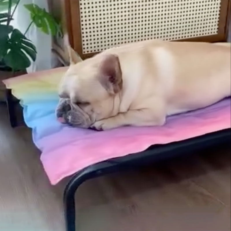 IcePup Frenchie Summer Cooling Mat with Advanced Ice Tech | Azura