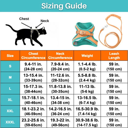 Cat Harness – Safe and Comfortable for Outdoor Adventures Azura