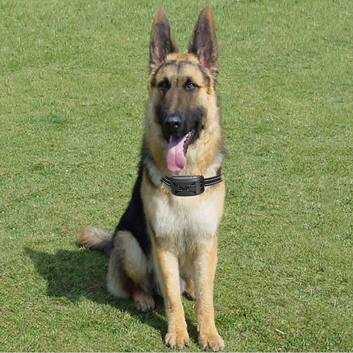 Azura | Wireless Dog Fence System with Adjustable Waterproof Collar – Up to 240 Metres Range