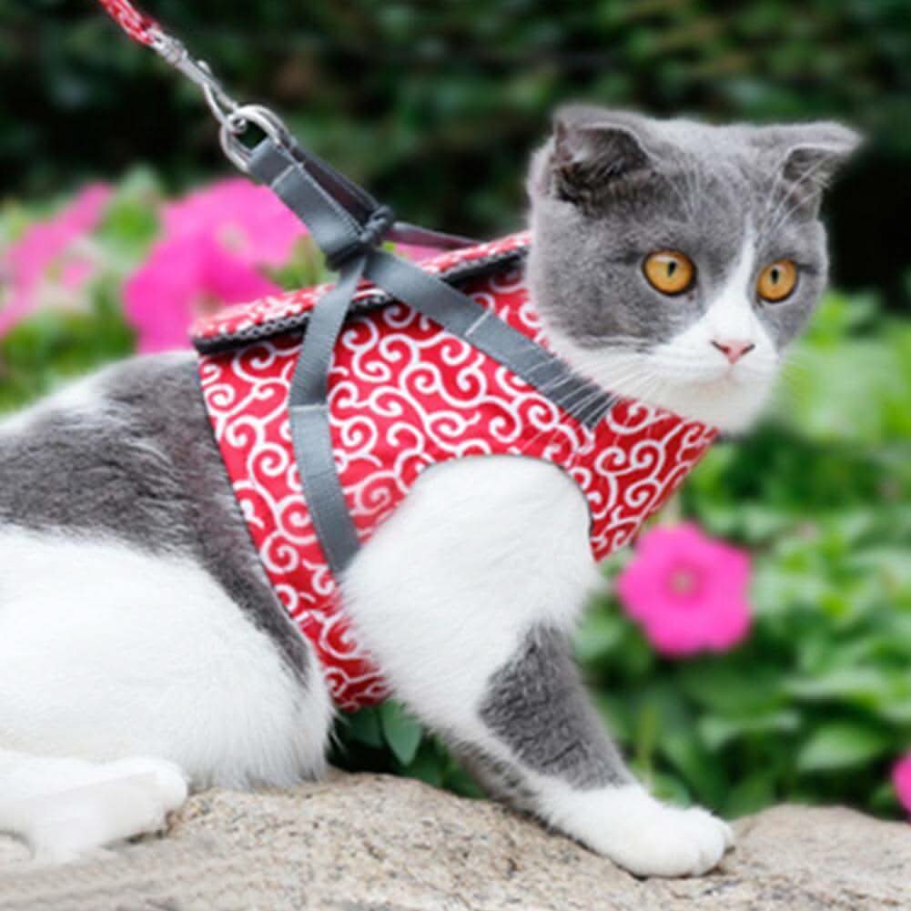 Azura | Cat Harness Vest for Safety & Comfort