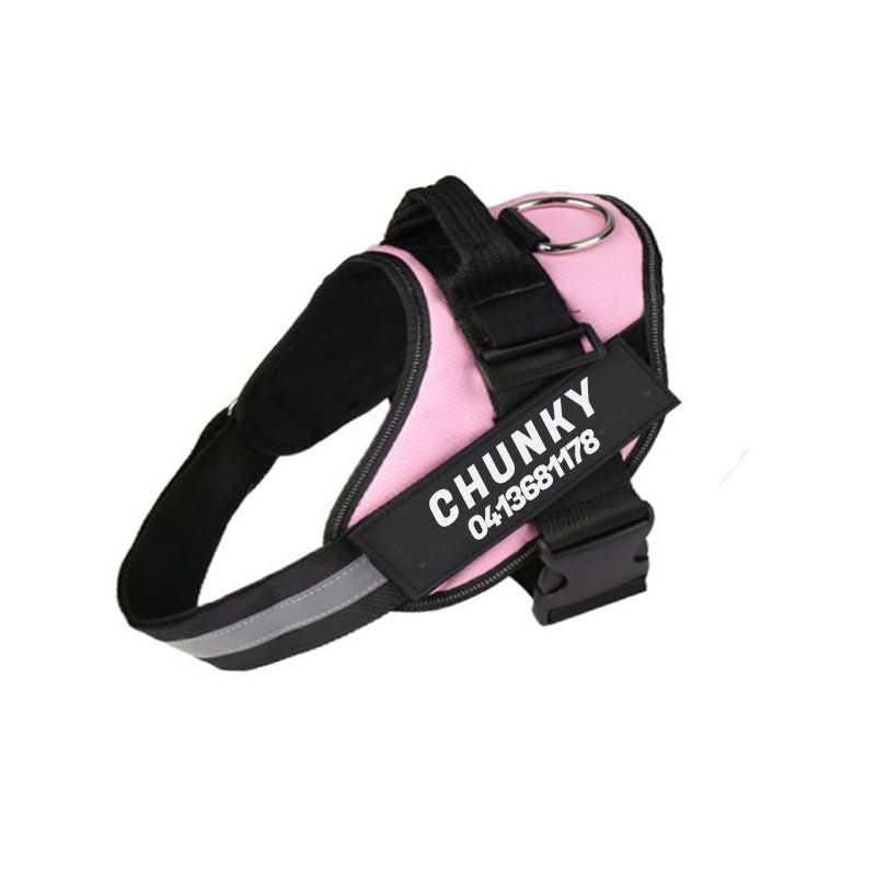 Azura | Personalisable dog harness for comfort & safety