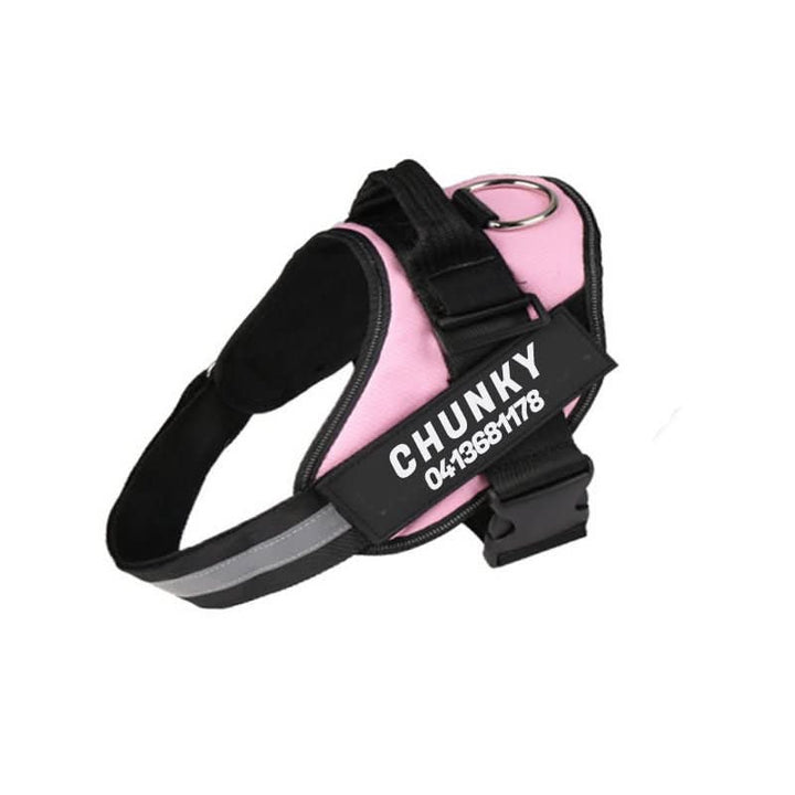 Azura | Personalisable dog harness for comfort & safety