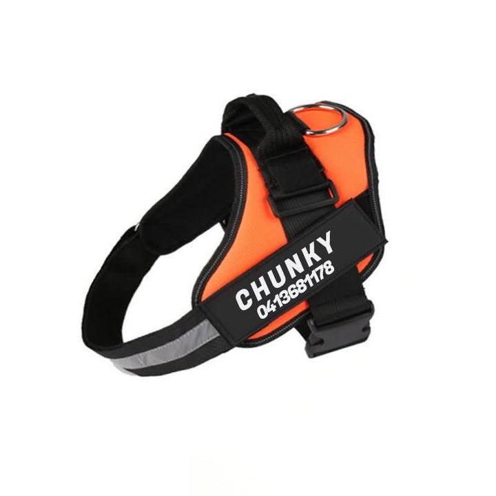 Azura | Personalisable dog harness for comfort & safety