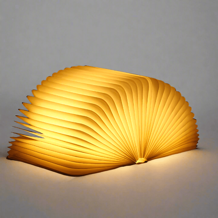 BowLift | Book Light