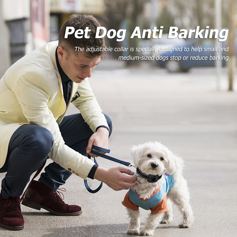 Azura | Painless Anti-Bark Collar – Vibrations & Ultrasound for Dogs