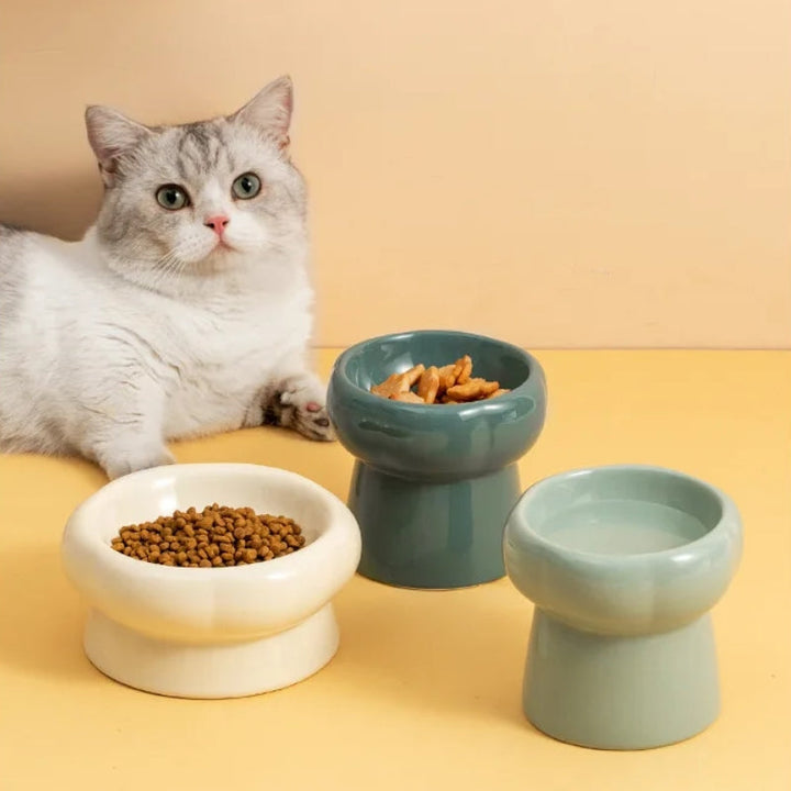 Azura | Luna Ceramic Elevated Cat Bowls