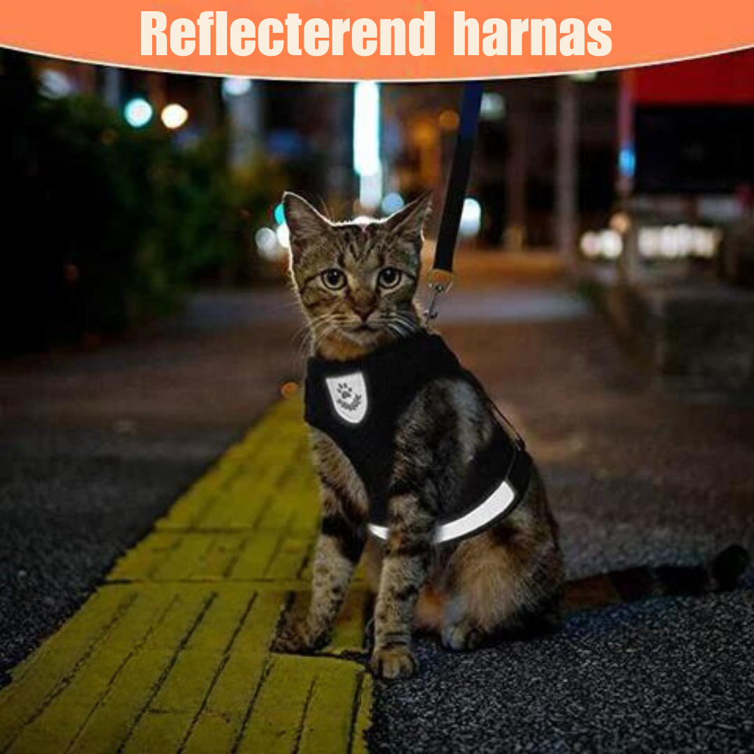 Azura | Reflective Cat Harness and Leash Set with Adjustable Straps for Safe Night Adventures – Comfortable Fit for Cats and Kittens