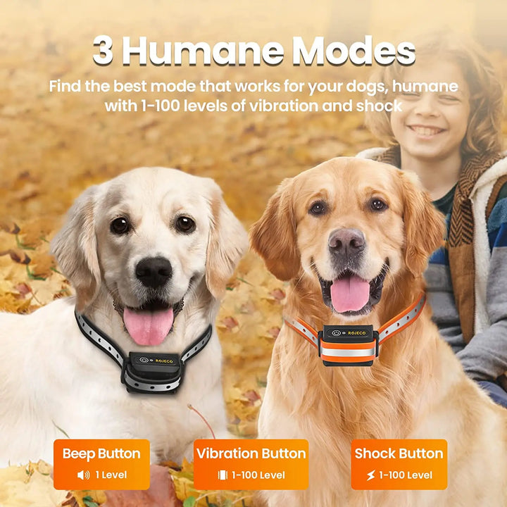 Azura | Remote-Controlled Dog Training Collar | Rechargeable, Waterproof & 1000m Range for Effective Dog Training