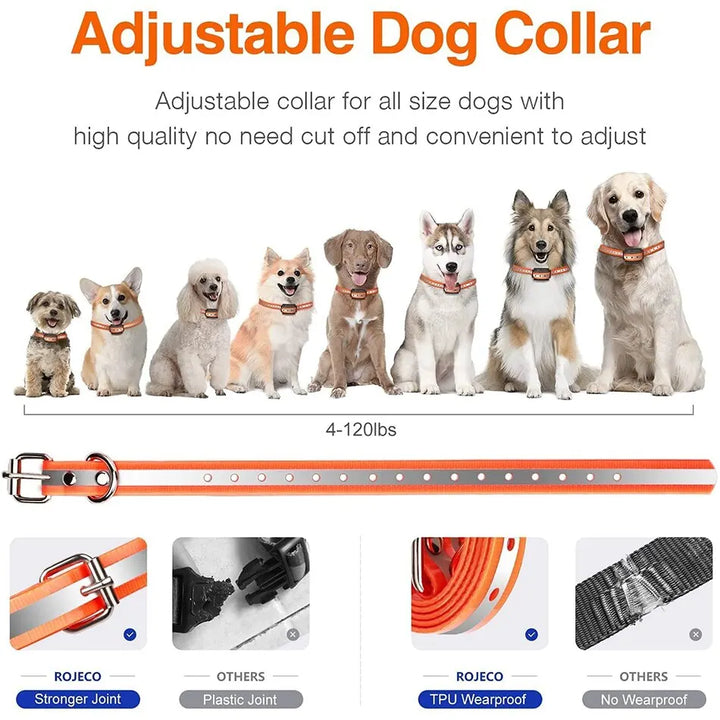 Azura | Remote-Controlled Dog Training Collar | Rechargeable, Waterproof & 1000m Range for Effective Dog Training