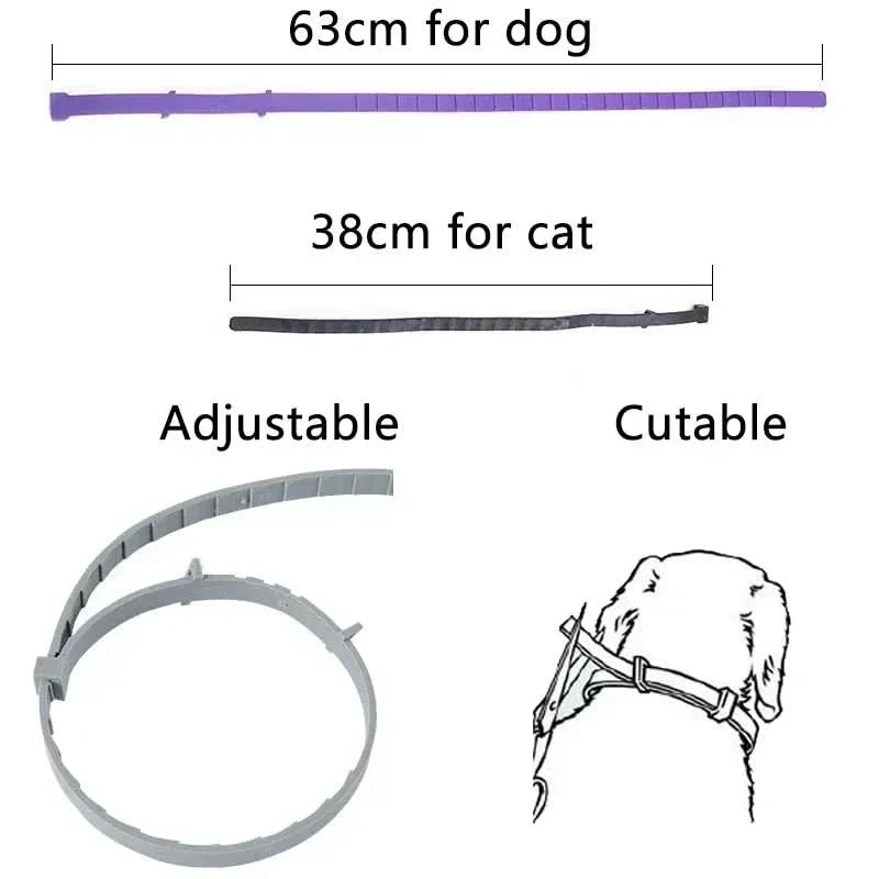 Azura | FLASHIELD COLLAR – Herbal flea & tick protection collar for dogs & cats