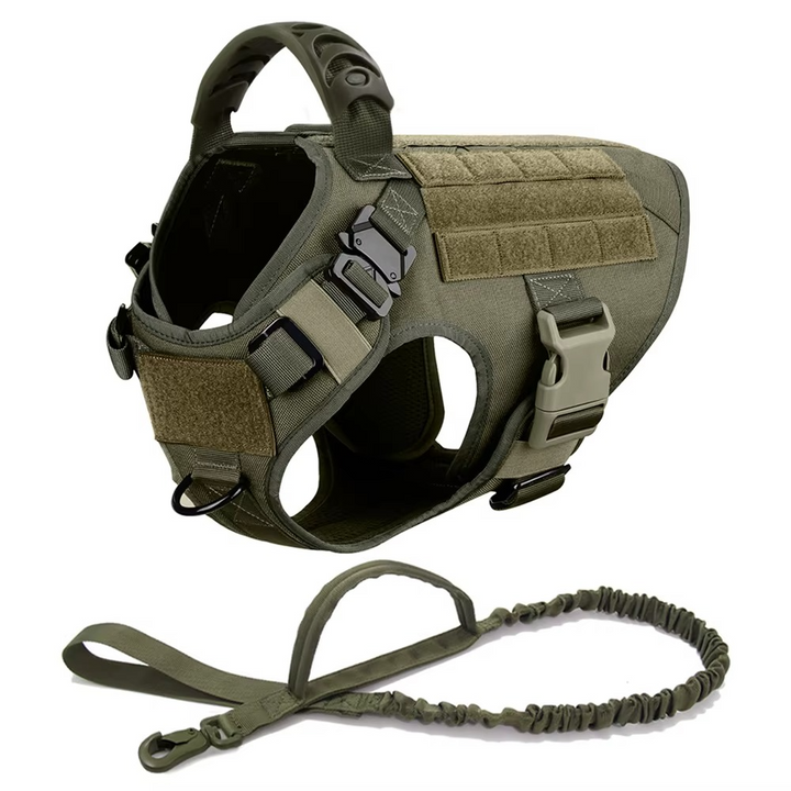 Azura | Tactical Dog Harness and Leash Set for Medium and Large Dogs