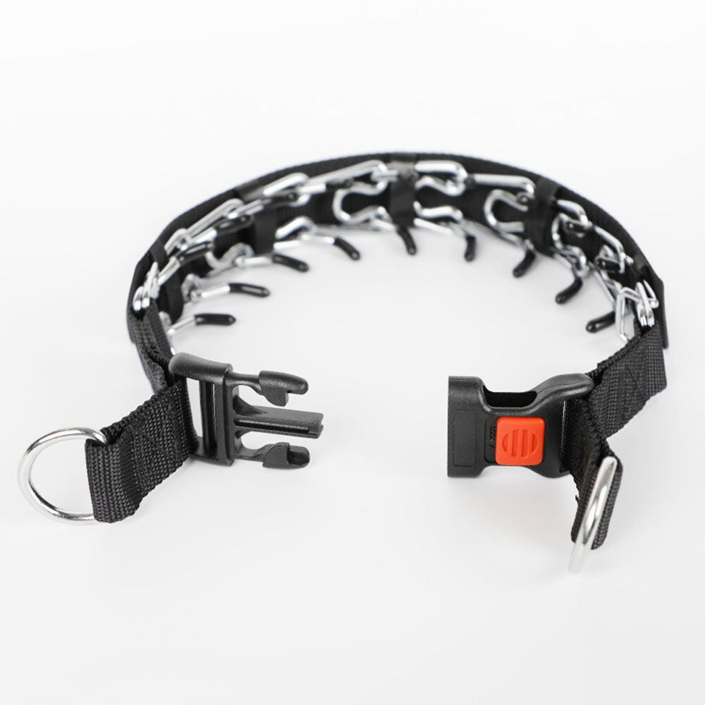 Azura | Dog Pincher Collar - Stylish C