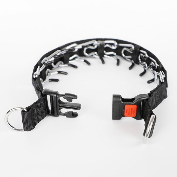Azura | Dog Pincher Collar - Stylish C