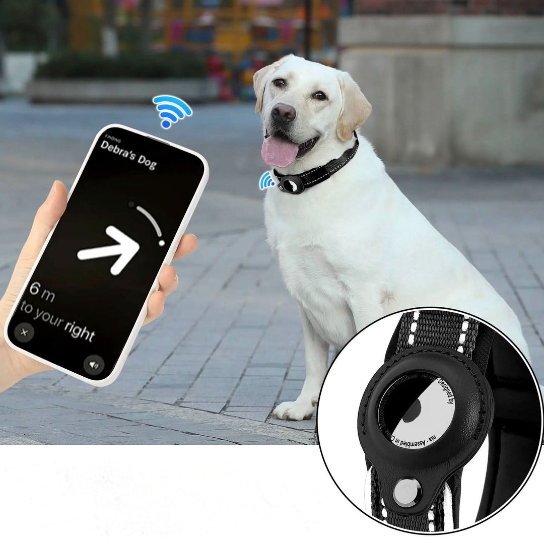 Azura | LEAZO - AirTag Dog Collar