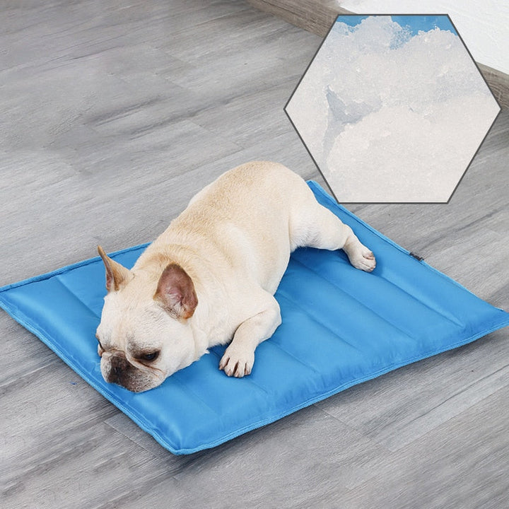 Summer Zone Pet Cooling Mat | Azura