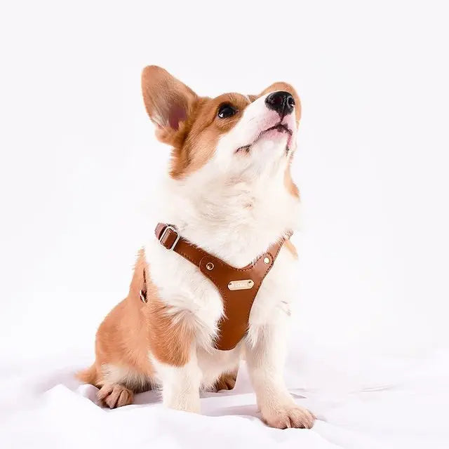 Adjustable Leather Dog Harness with Custom Engraving Azura