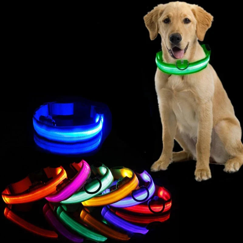 GlowCollar LED – BrightPaws Azura