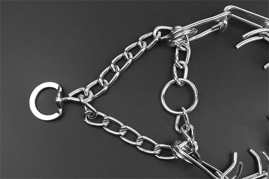 Azura | Dog Pincher Collar - Stylish B