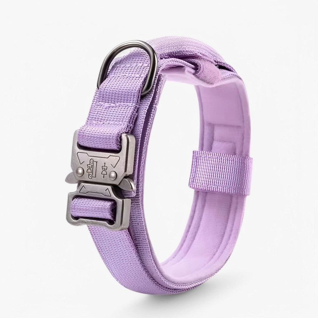 Azura | Durable & Adjustable Collar for Training & Everyday Use