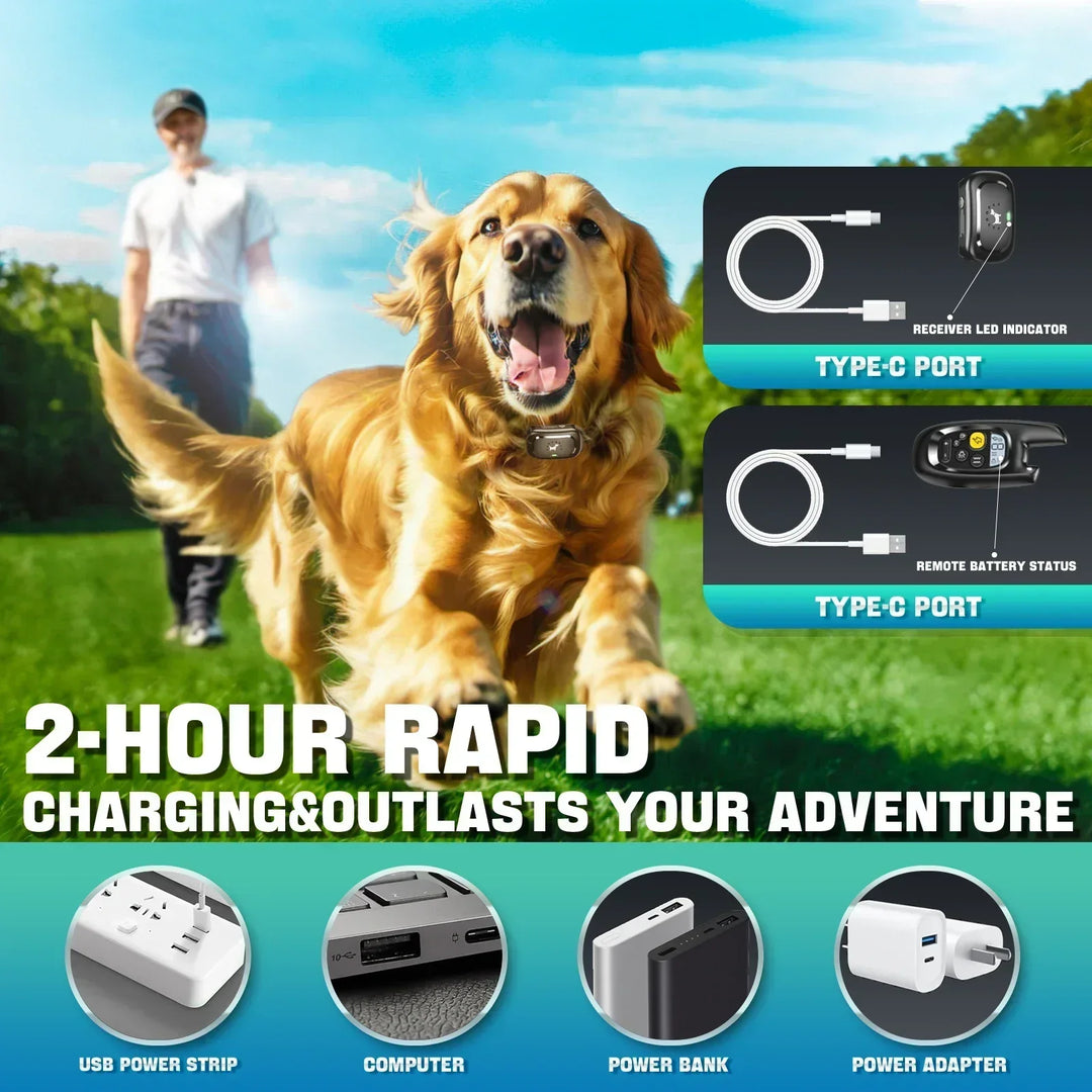 Azura | Dog Training Collar with Remote – Shock Lock, Sound & Vibration Modes, Waterproof, 1600ft Range