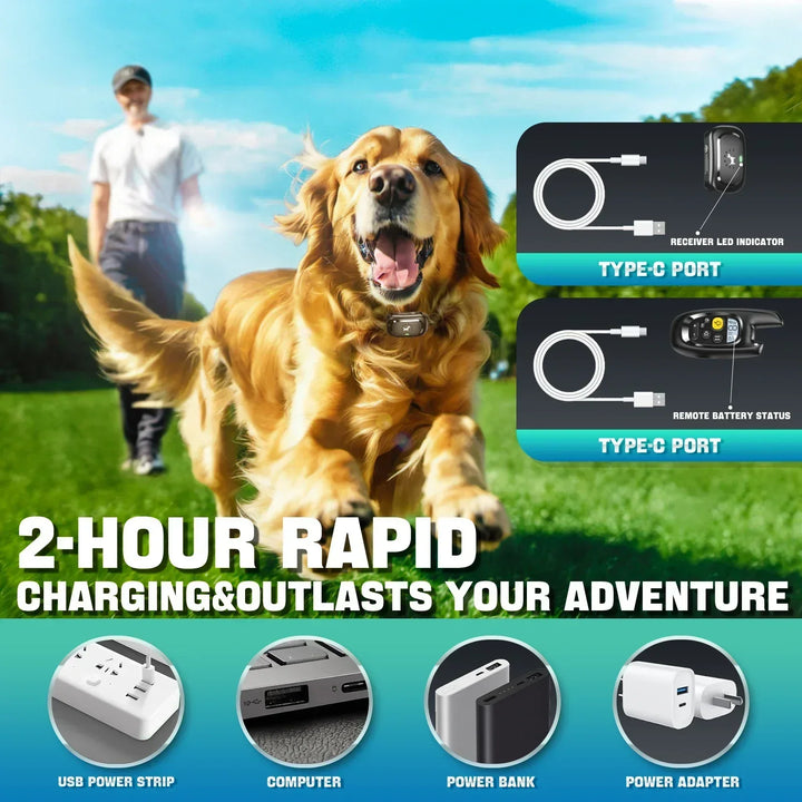 Azura | Dog Training Collar with Remote – Shock Lock, Sound & Vibration Modes, Waterproof, 1600ft Range