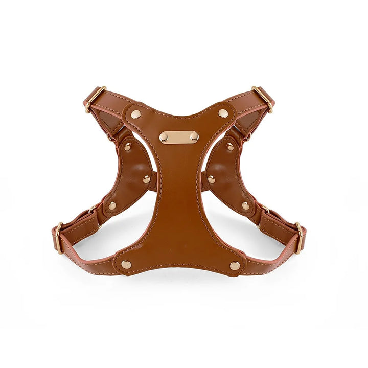 Adjustable Leather Dog Harness with Custom Engraving Azura