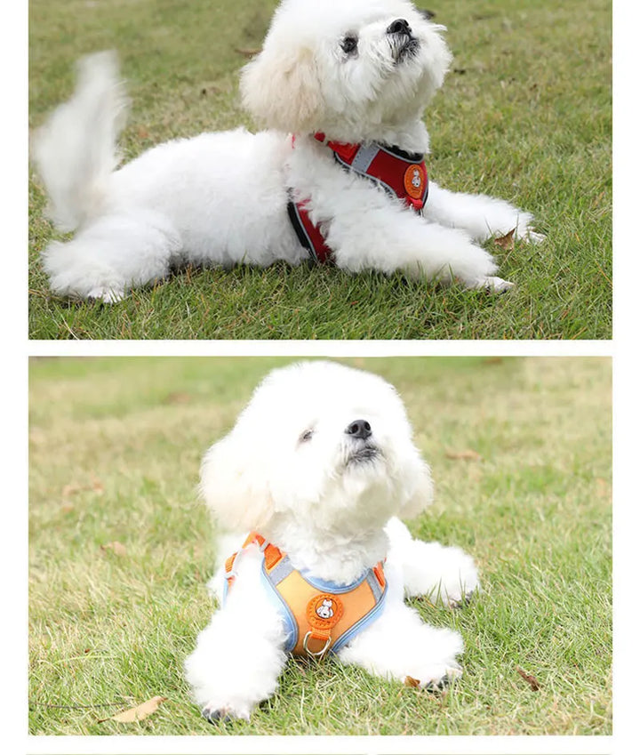 Breathable dog harness adjustable & comfortable Azura