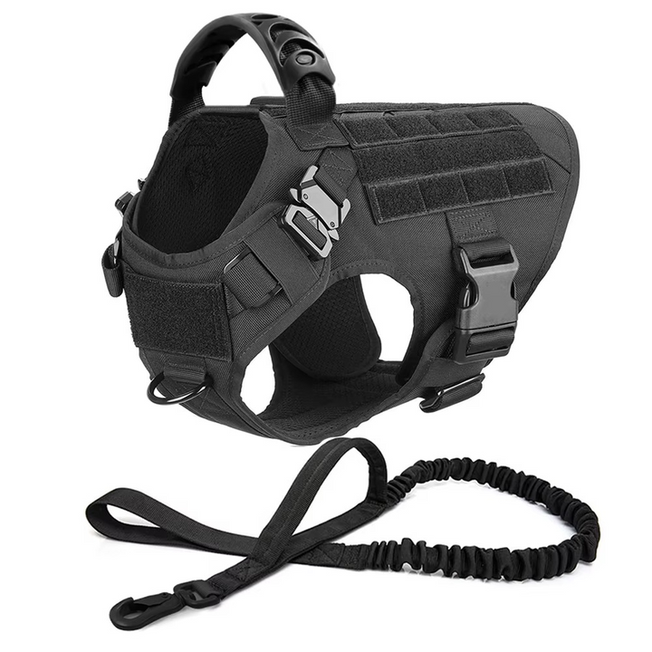 Azura | Tactical Dog Harness and Leash Set for Medium and Large Dogs