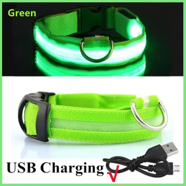 Azura | LUXPETS GlowSafe LED Dog Collar | Illuminated & Rechargeable | Adjustable & Waterproof | Anti-Loss at Night
