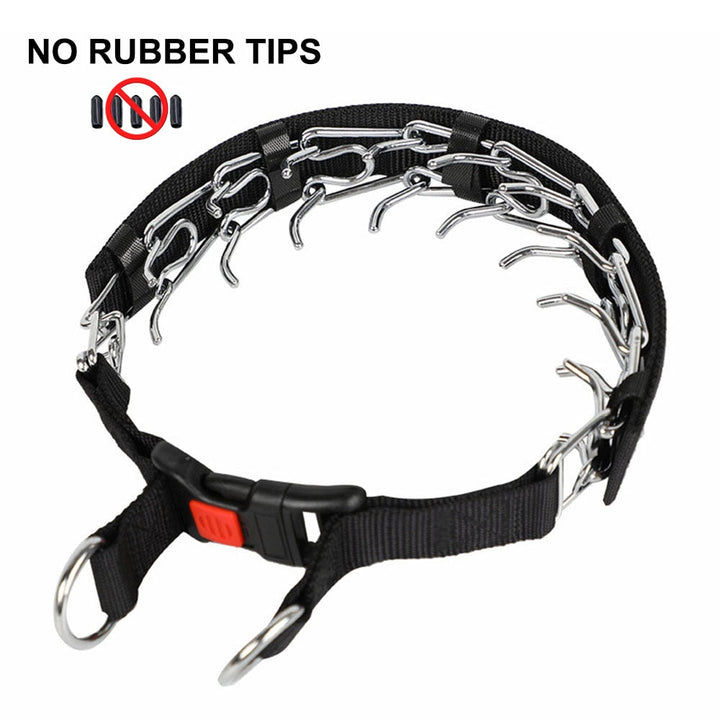 Azura | Dog Pincher Collar - Stylish C