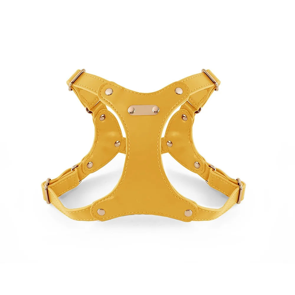 Adjustable Leather Dog Harness with Custom Engraving Azura
