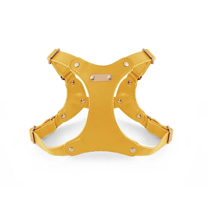 Adjustable Leather Dog Harness with Custom Engraving Azura