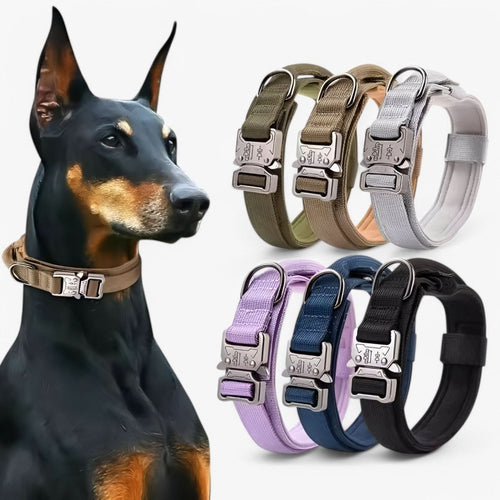 Azura | Durable & Adjustable Collar for Training & Everyday Use
