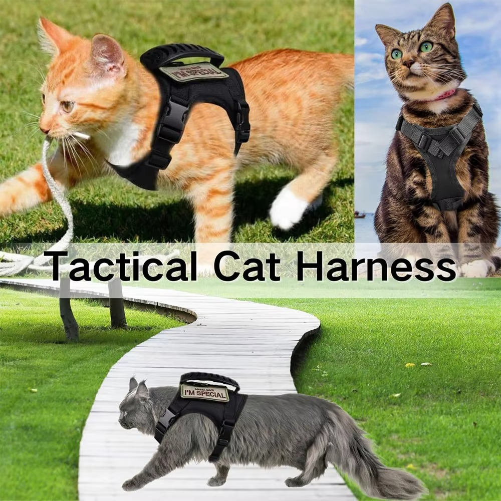 Azura | Adjustable Tactical Pet Harness with Control Handle for Cats and Large Dogs