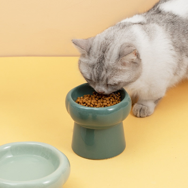 Azura | Luna Ceramic Elevated Cat Bowls