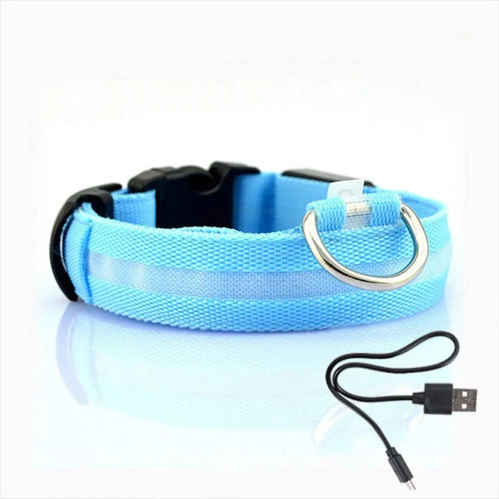 GlowCollar LED – BrightPaws Azura