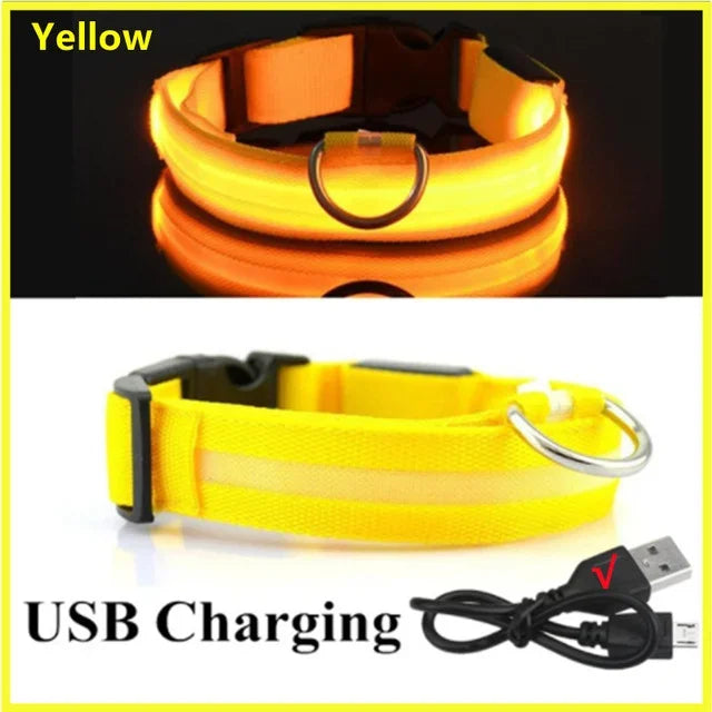 Azura | LUXPETS GlowSafe LED Dog Collar | Illuminated & Rechargeable | Adjustable & Waterproof | Anti-Loss at Night