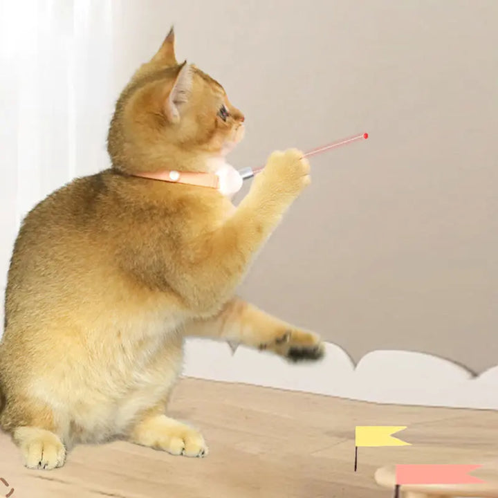 Freesthetic Laser Collar for Cats Azura