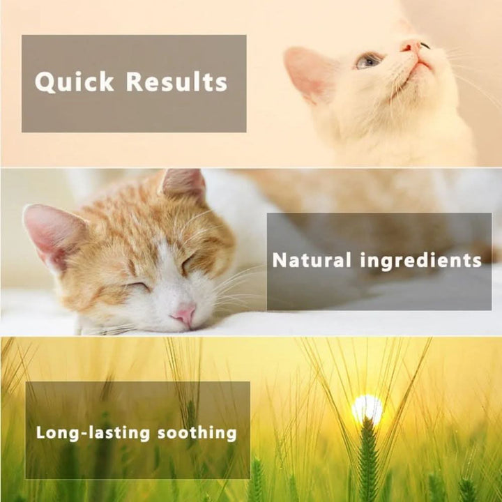 Azura | Flea & Tick Protection Collar for Dogs & Cats