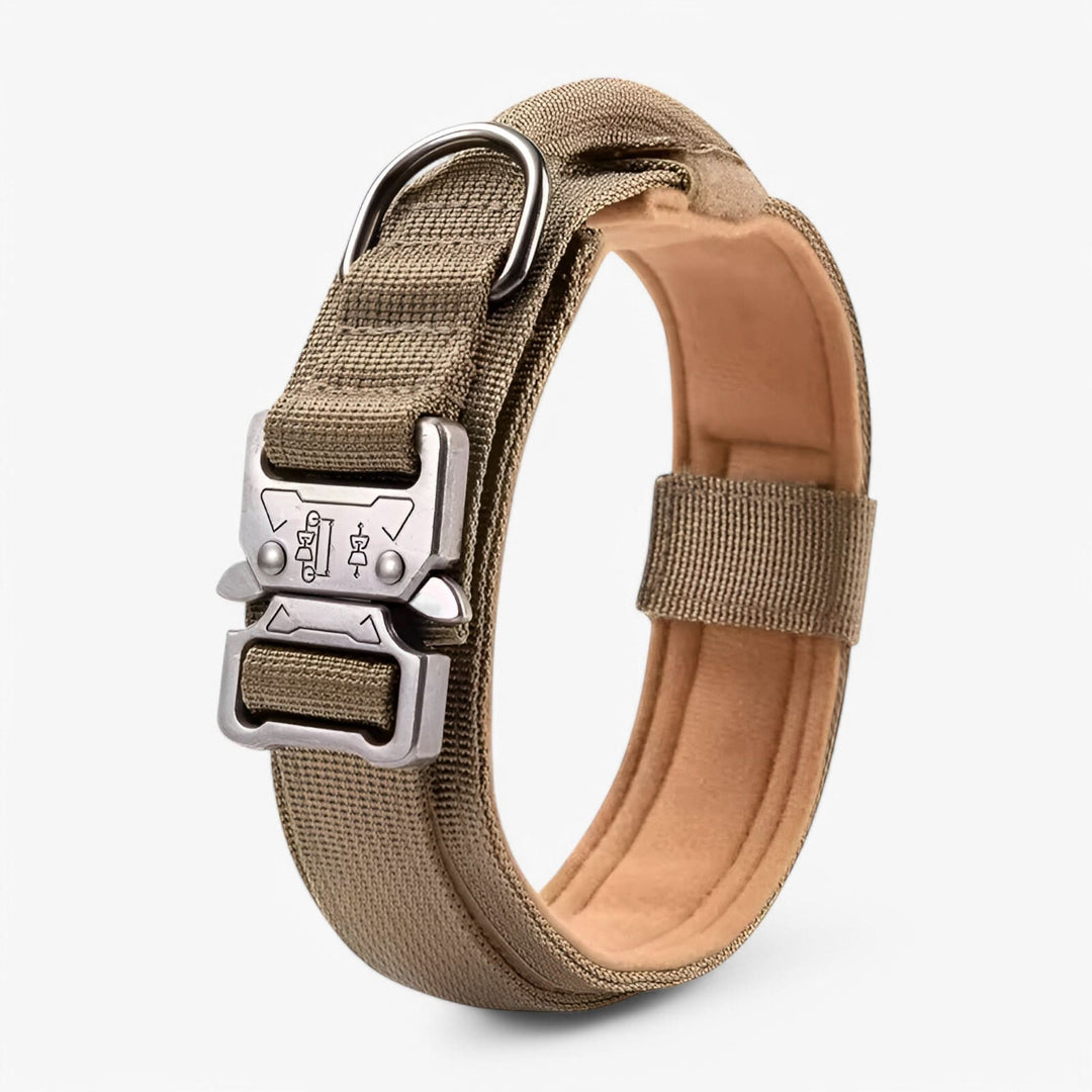 Azura | OutdoorHeld Dog Collar – For active dogs with endurance