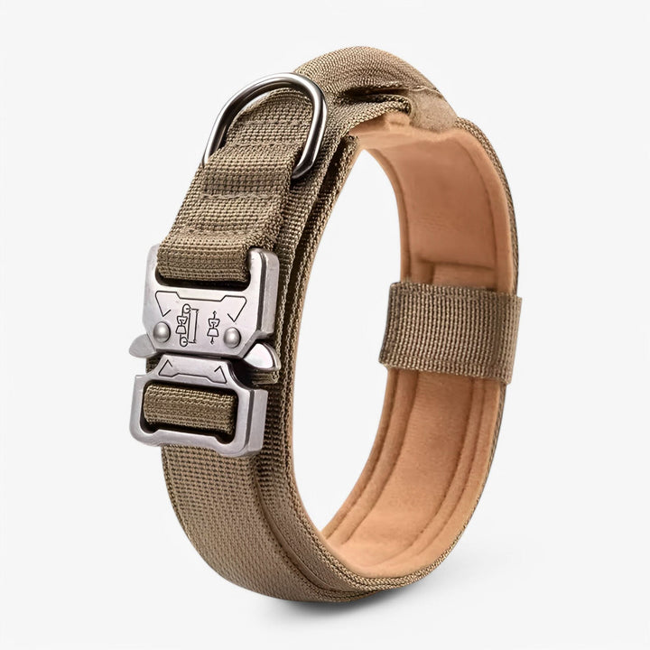Azura | OutdoorHeld Dog Collar – For active dogs with endurance
