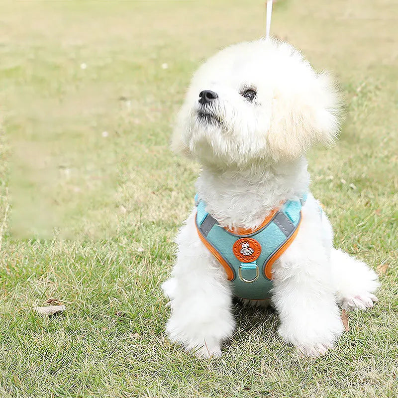 Breathable dog harness adjustable & comfortable Azura