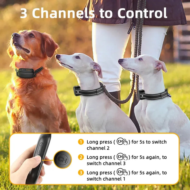 Azura | ProTrain – Rechargeable Waterproof Dog Training Collar with Remote