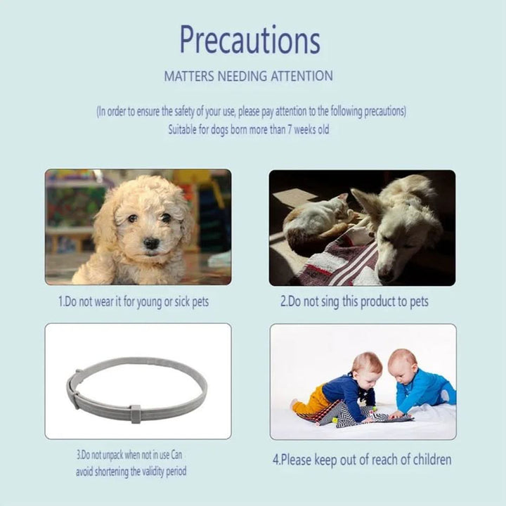 Azura | Flea & Tick Protection Collar for Dogs & Cats