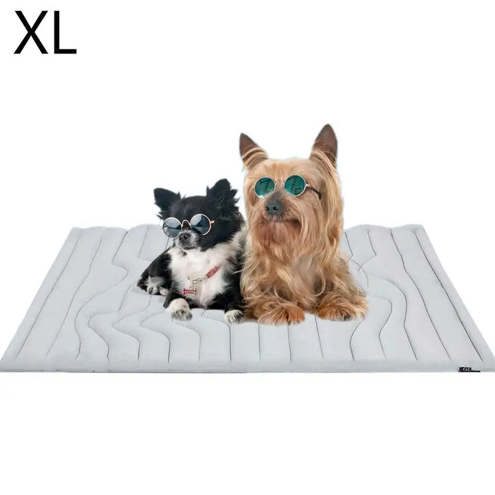 Azura | FrostPaws Cooling Mat for Dogs & Cats | Reusable & Filled with Gel | For Summer & Travel | PVC